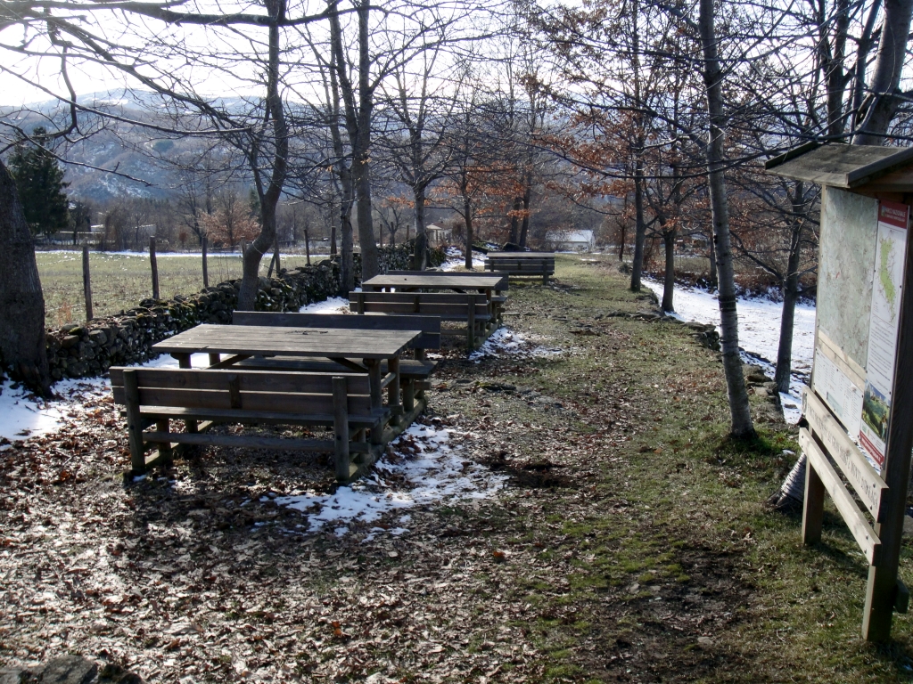 DSC00124