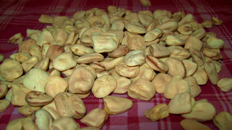 Cicerchia (Legume)