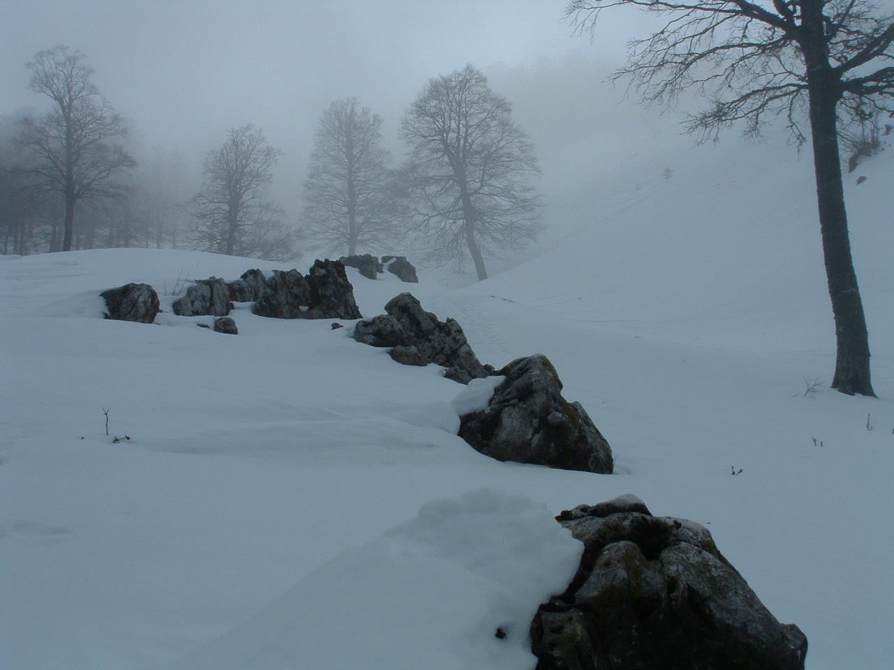 Paesaggio Montano nella Nebbia