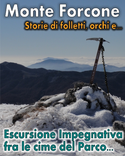 Monte Forcone e Monte Ninna