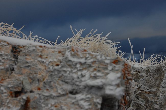 Breve vademecum per l'appassionato di fotografia naturalistica