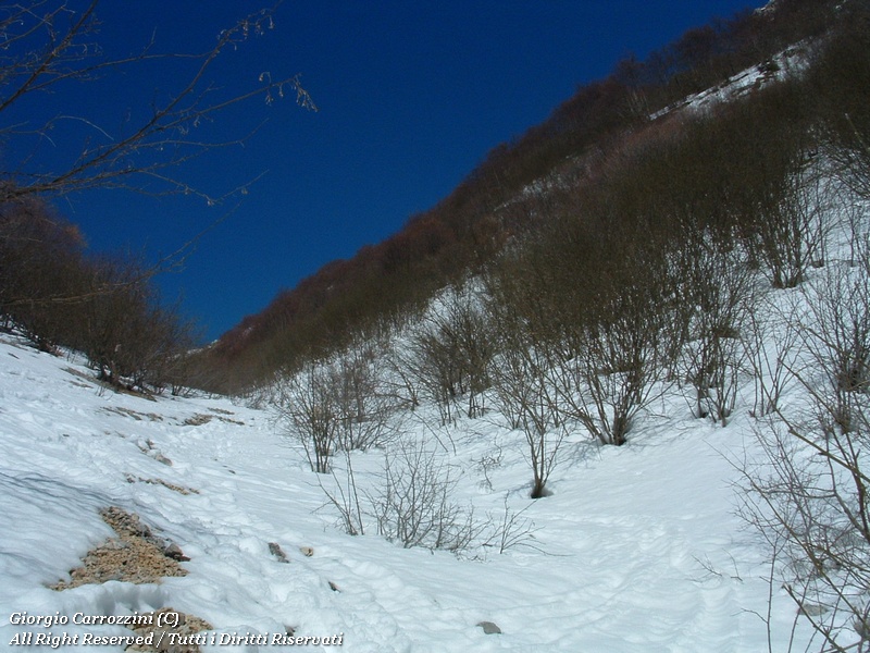 Monte Sevice da Passo le Forche