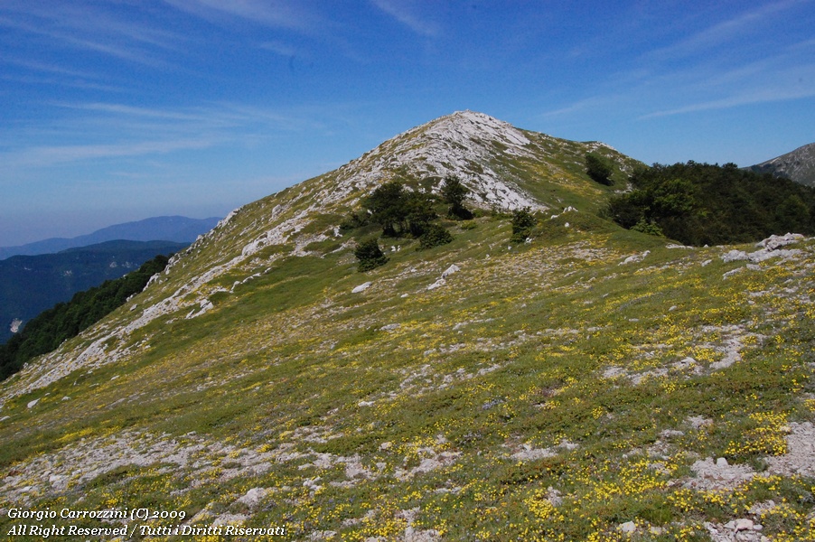 Monte Cotento (Mt. 2015) e Colle delle Lisce (Mt. 1870)