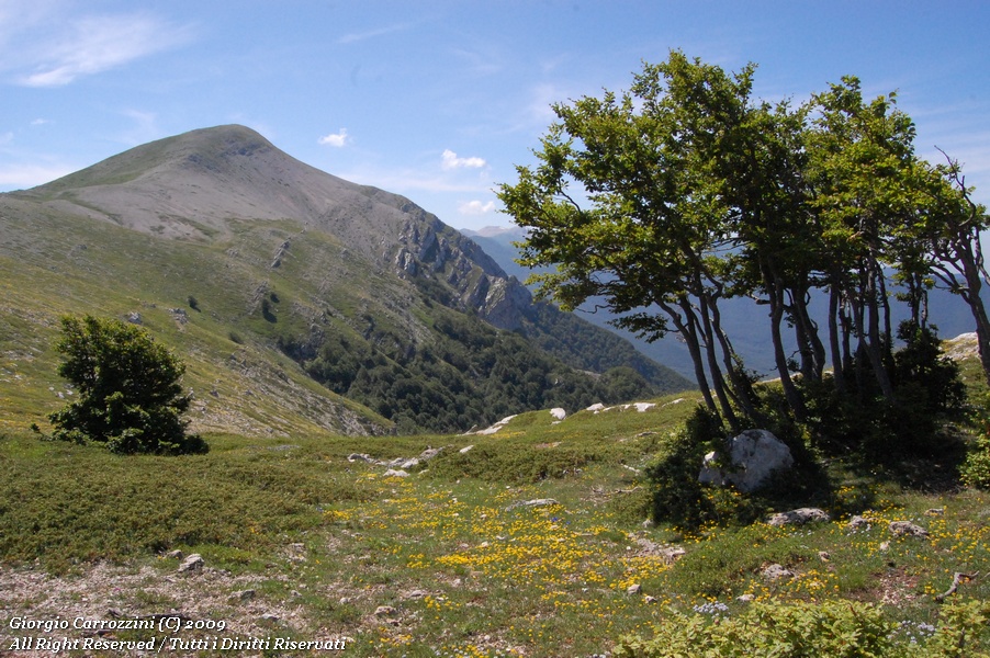 Monte Cotento (Mt. 2015) e Colle delle Lisce (Mt. 1870)