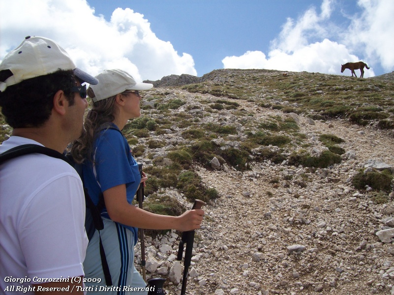Monte Velino (2486 m) da Rosciolo
