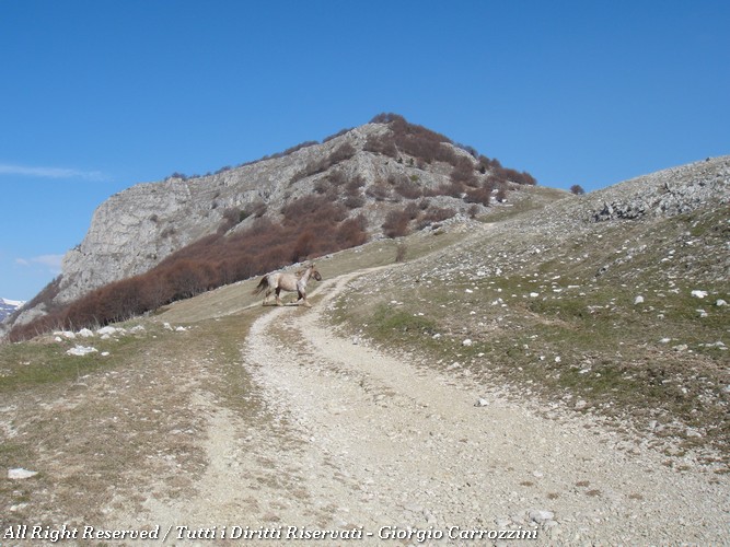Punta Macerola dalla Val d'Arano