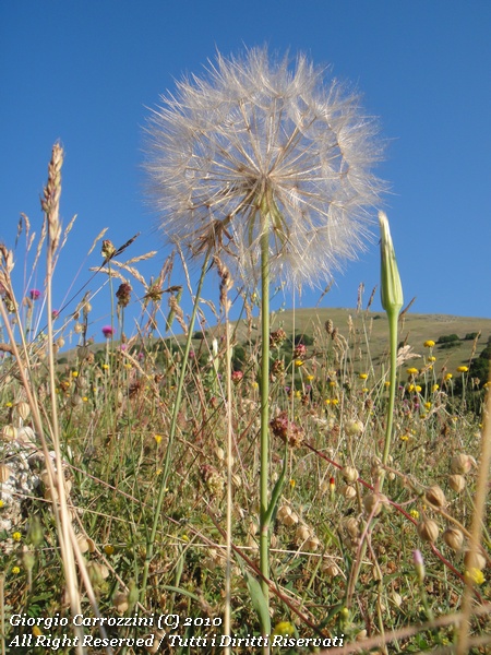 Monte San Nicola -  La forza dei Bambini...