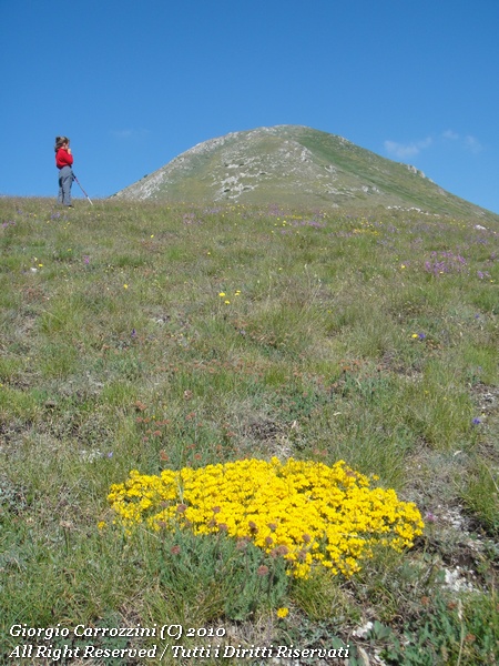 Monte San Nicola -  La forza dei Bambini...