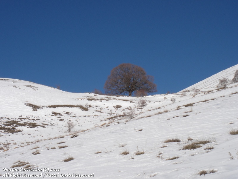 Monte Rotella - Traversata Perpendicolare