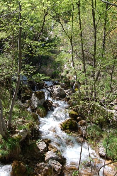Escursione alla Cascata di Zompo lo Schioppo