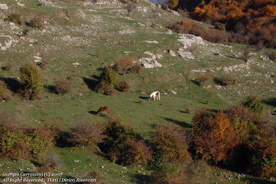 Arrampicare a Monte Guadagnolo