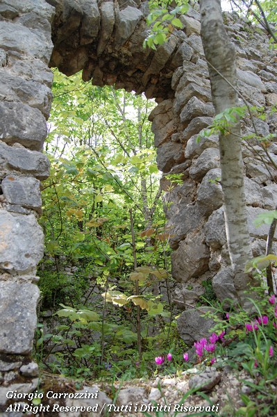 Santuario Madonna delle Grazie (XIII sec.)
