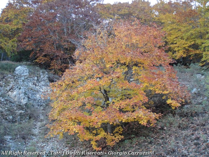 Monte Forcone e Monte Ninna