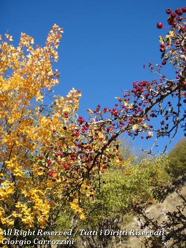 Monte Forcone e Monte Ninna
