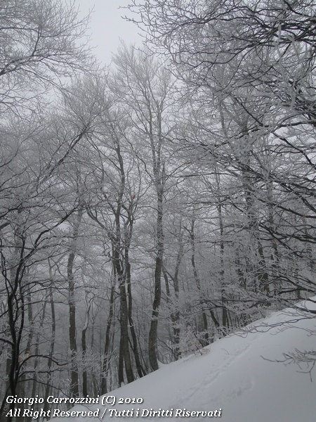 Monte Canale per la Neviera (Sirente)