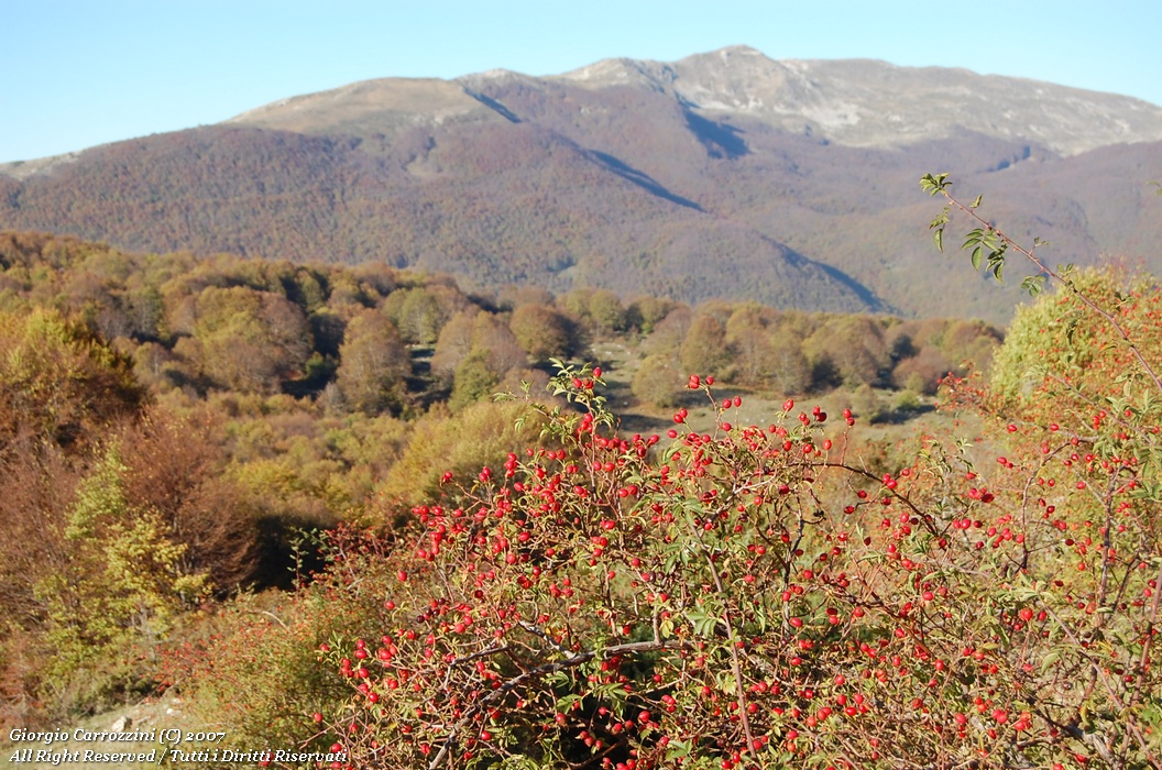 Monte "La Torricella" ovvero il doppio dei chilometri...