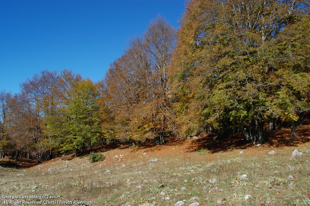 Monte "La Torricella" ovvero il doppio dei chilometri...