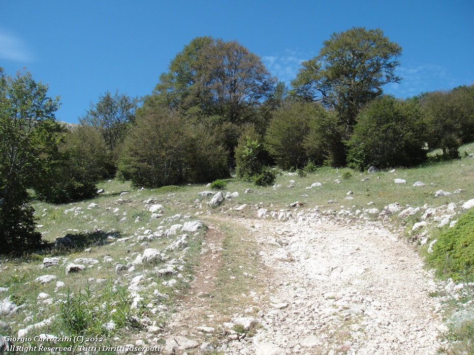 Monte Morrone (2141m) e Fonte della Vena