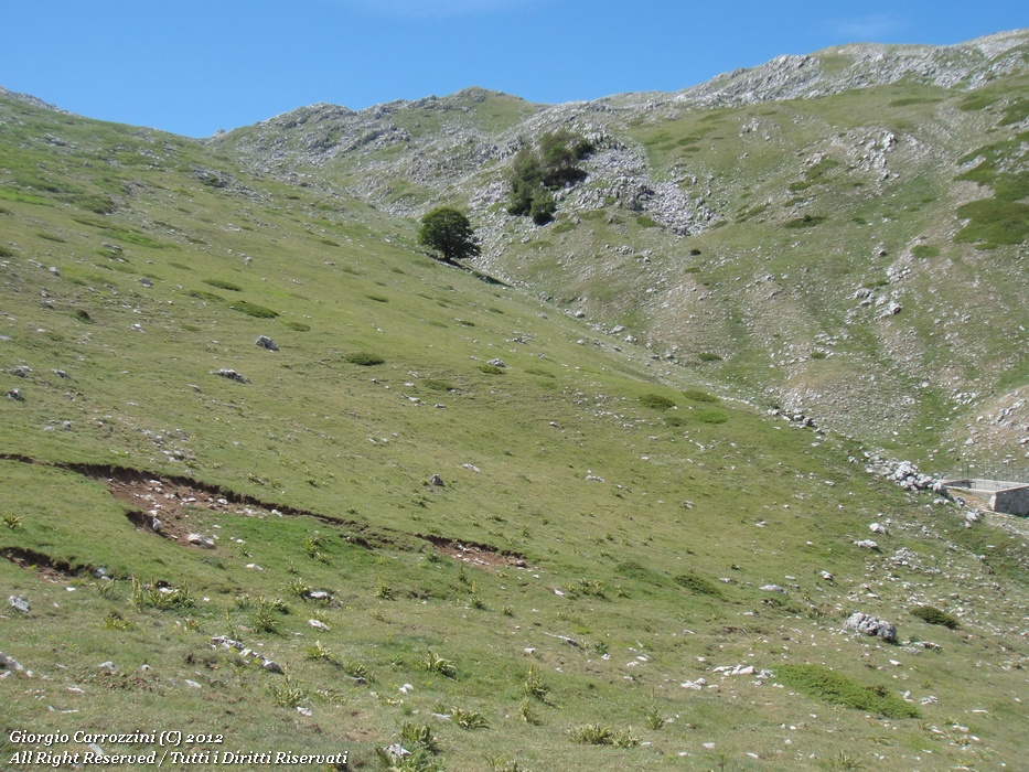 Monte Morrone (2141m) e Fonte della Vena