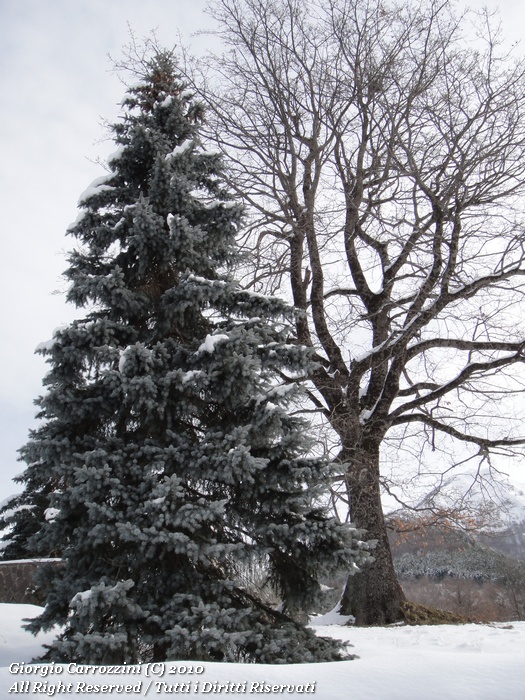 Imparando a muoversi in ambiente invernale...