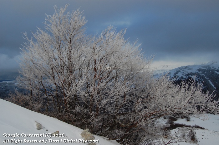 Monte Orsello (2043 m) da Valico della Crocetta