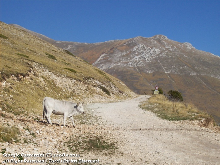Traversata da Frontignano a Monte Prata per il Passo Cattivo