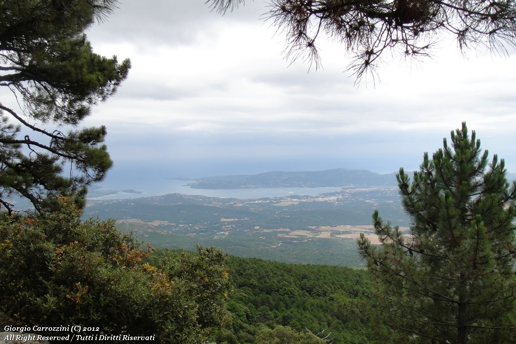 Corsica Meridionale: mare e montagna...