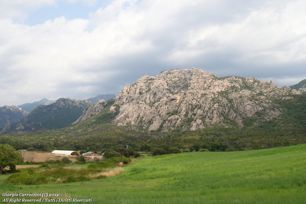 Corsica Meridionale: mare e montagna...