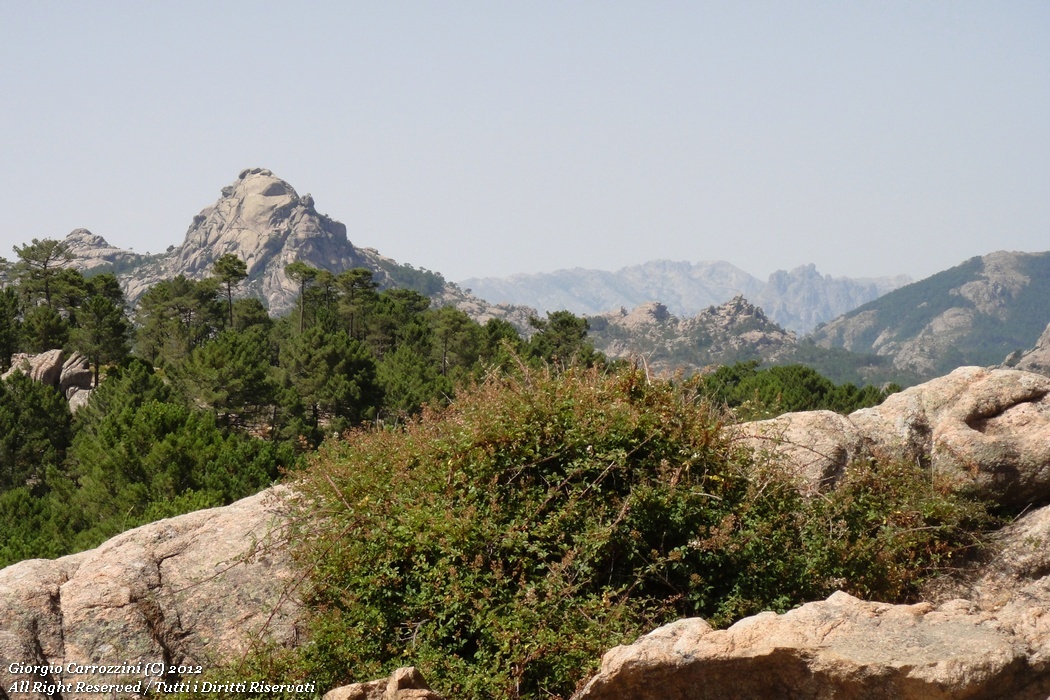 Corsica Meridionale: mare e montagna...