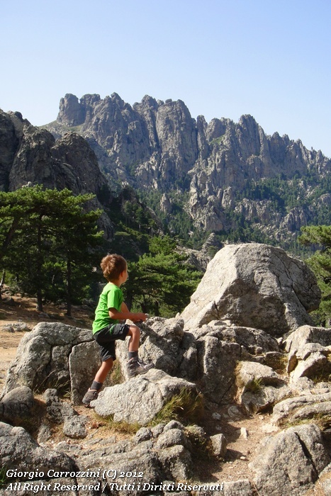 Corsica Meridionale: mare e montagna...