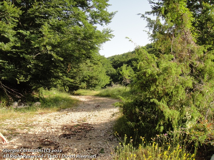 Escursione al Monte Cornacchia (2003 m)