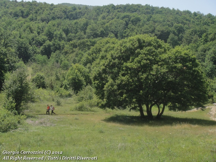 Escursione al Monte Cornacchia (2003 m)