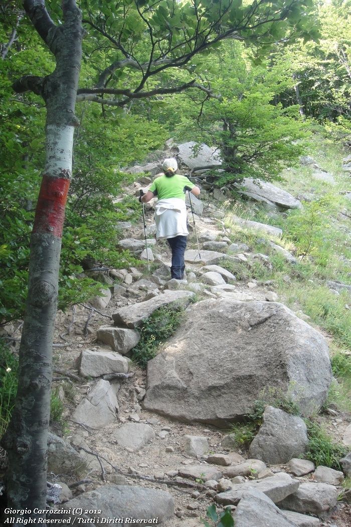 Alpe di Succiso dal Passo della Scalucchia