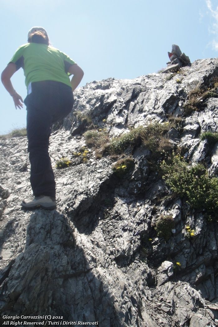 Alpe di Succiso dal Passo della Scalucchia