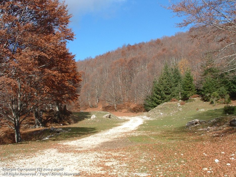 Monte Viglio da Serra Valico Sant'Antonio