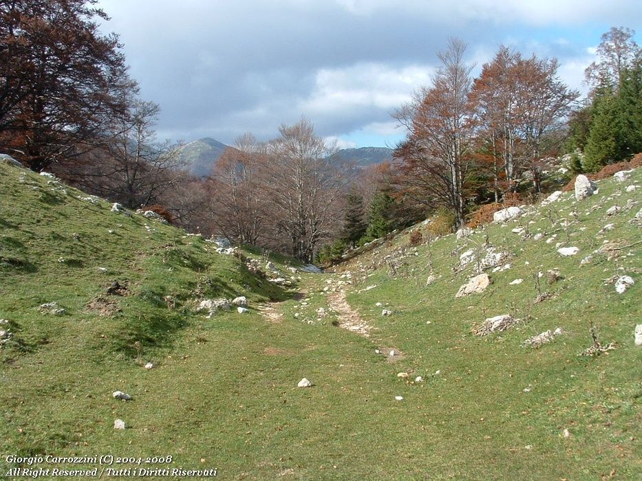 Monte Viglio da Serra Valico Sant'Antonio
