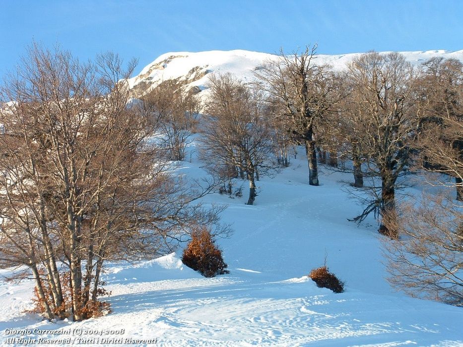 Monte Viglio da Serra Valico Sant'Antonio