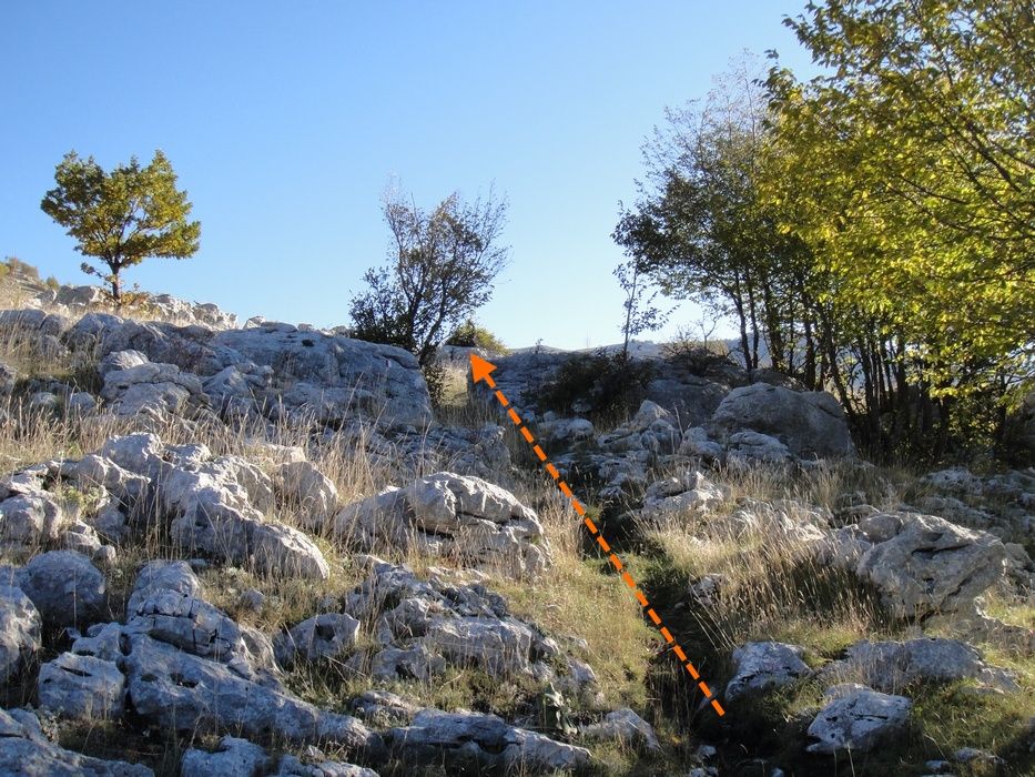 Monte Forcone, Marsicano e Monte Ninna