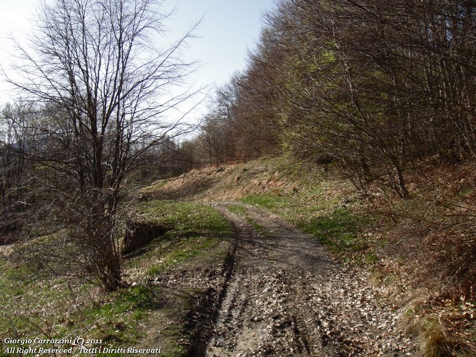 Dal Passo della Scalucchia alle Fonti di Capiola