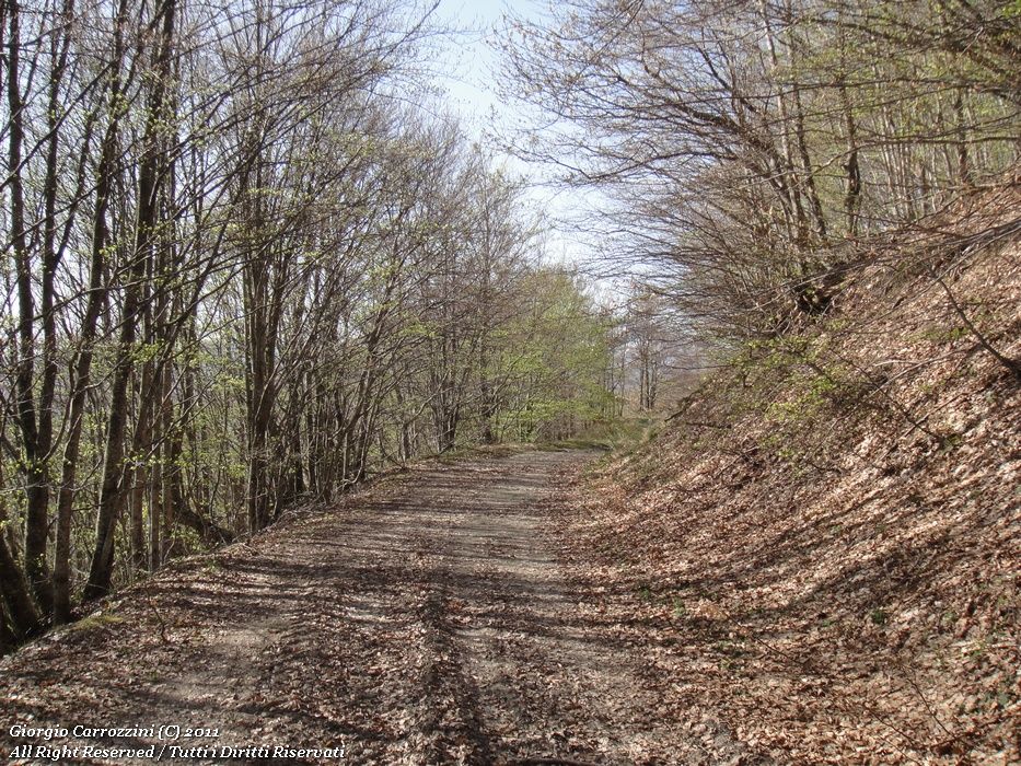 Dal Passo della Scalucchia alle Fonti di Capiola