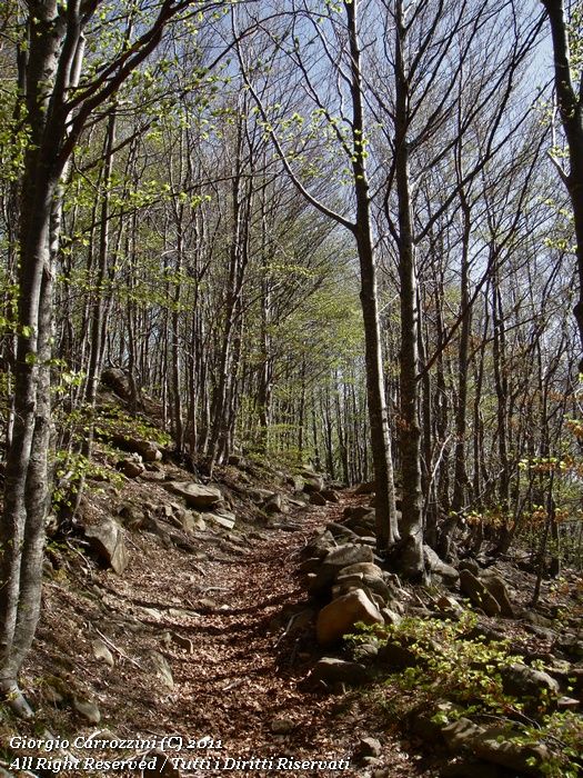 Dal Passo della Scalucchia alle Fonti di Capiola