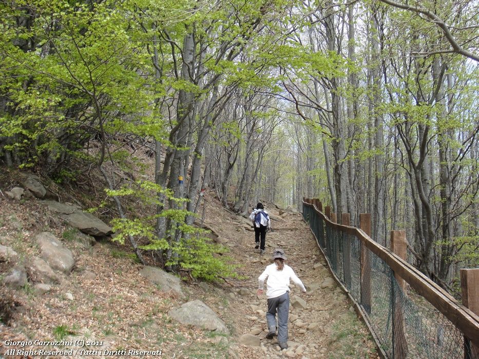Dal Passo della Scalucchia alle Fonti di Capiola