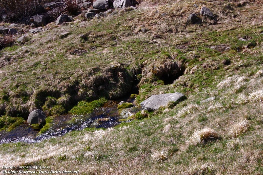 Dal Passo della Scalucchia alle Fonti di Capiola