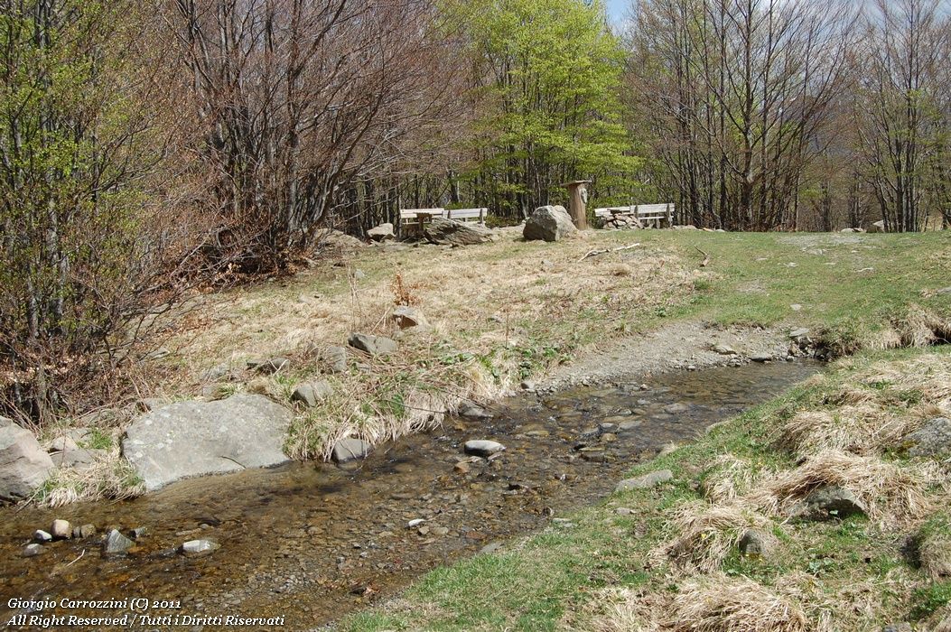 Dal Passo della Scalucchia alle Fonti di Capiola