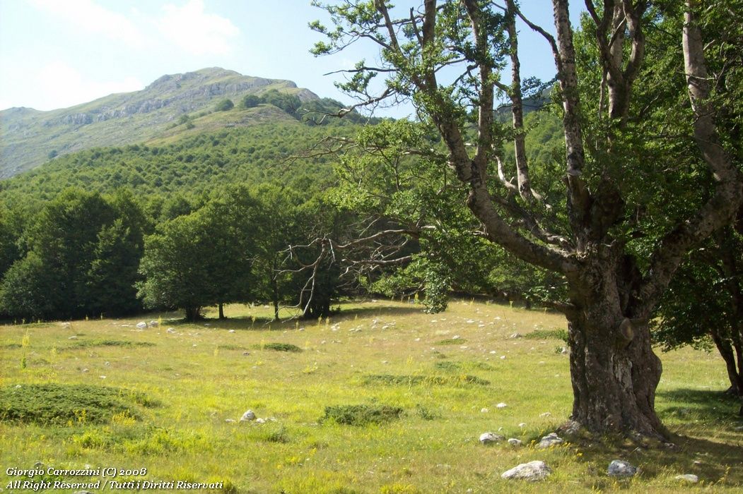 Traversata Alta del Monte Velino da Piani di Pezza a Rosciolo