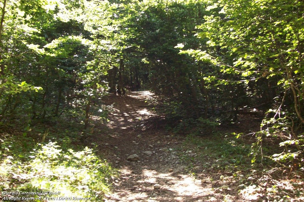 Traversata Alta del Monte Velino da Piani di Pezza a Rosciolo