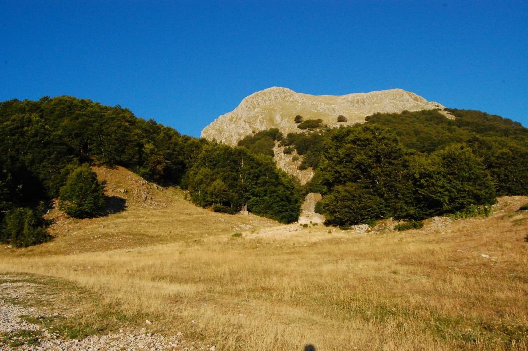 Escursione al Monte Miletto (2050 m) da Campitello Matese