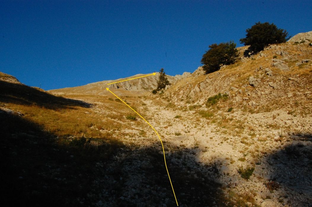 Escursione al Monte Miletto (2050 m) da Campitello Matese