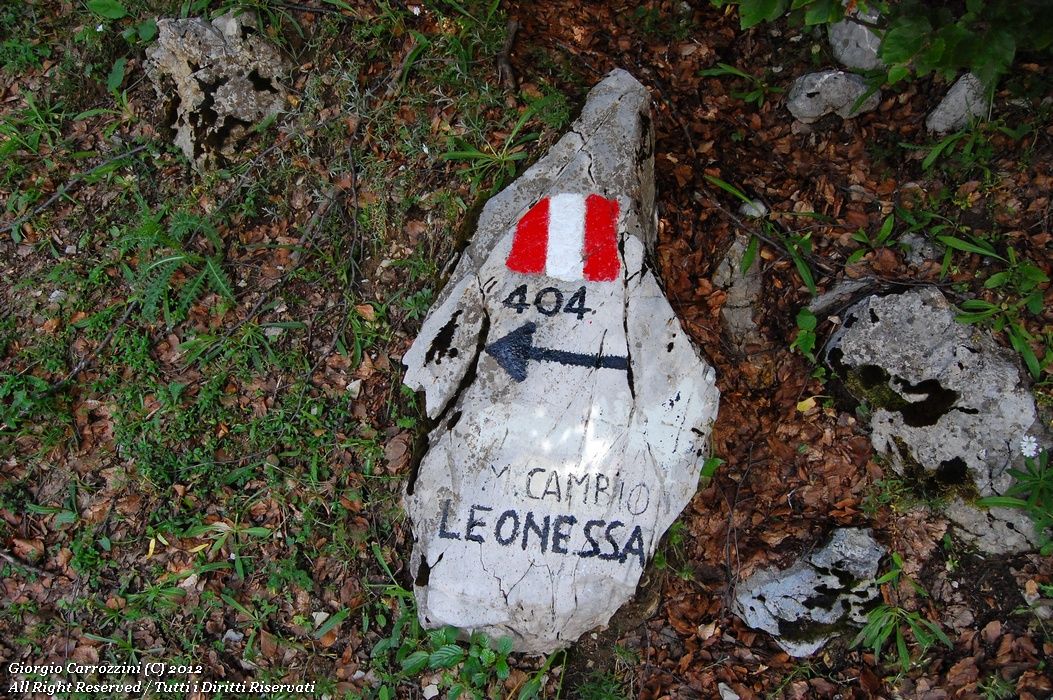 Monte di Cambio e Monte Porcini dalla Sella di Leonessa