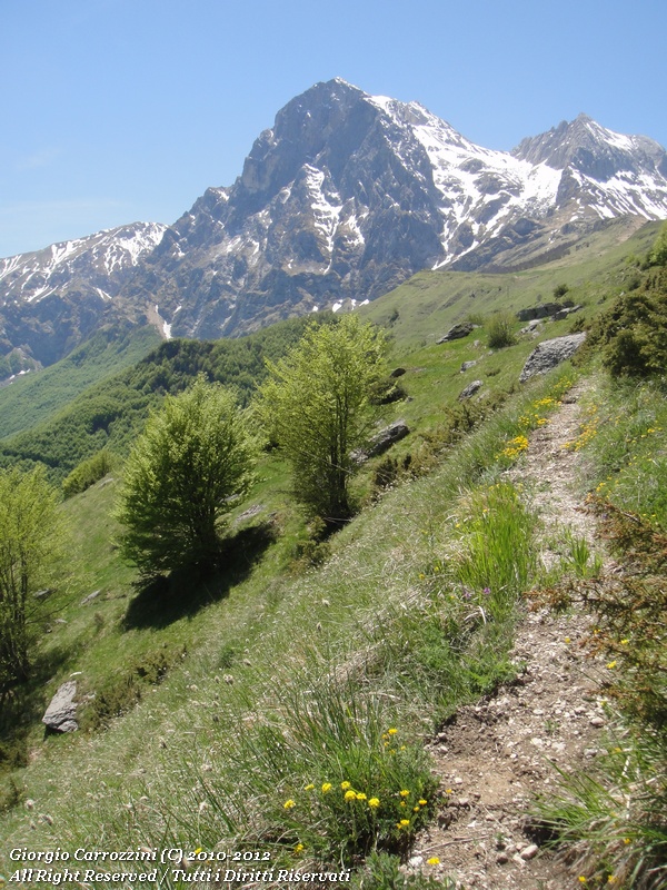 Le migliori foto dal 2010 al 2012